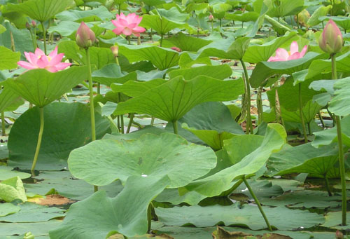 Остров Путятина