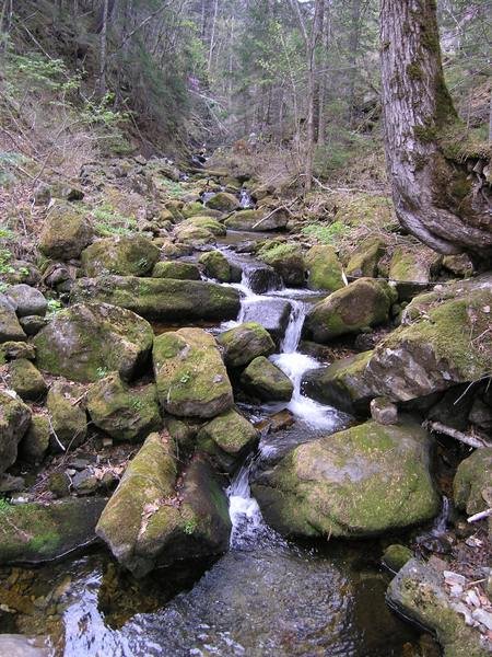 Алексеевские водопады