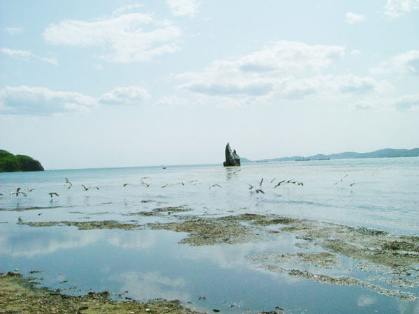 Бухта Лашкевича