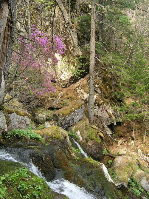 Алексеевские водопады