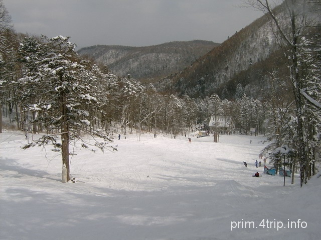 Грибановка
