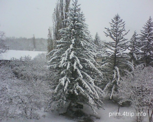 Авангард